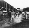 1954_0005