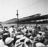 1954_0014