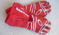 Bid on Justin Wilson’s race-worn gloves to help us raise donations for the Dyslexia Institute of Indiana